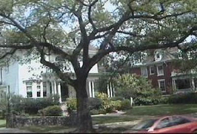 new_orleans_trolley_021